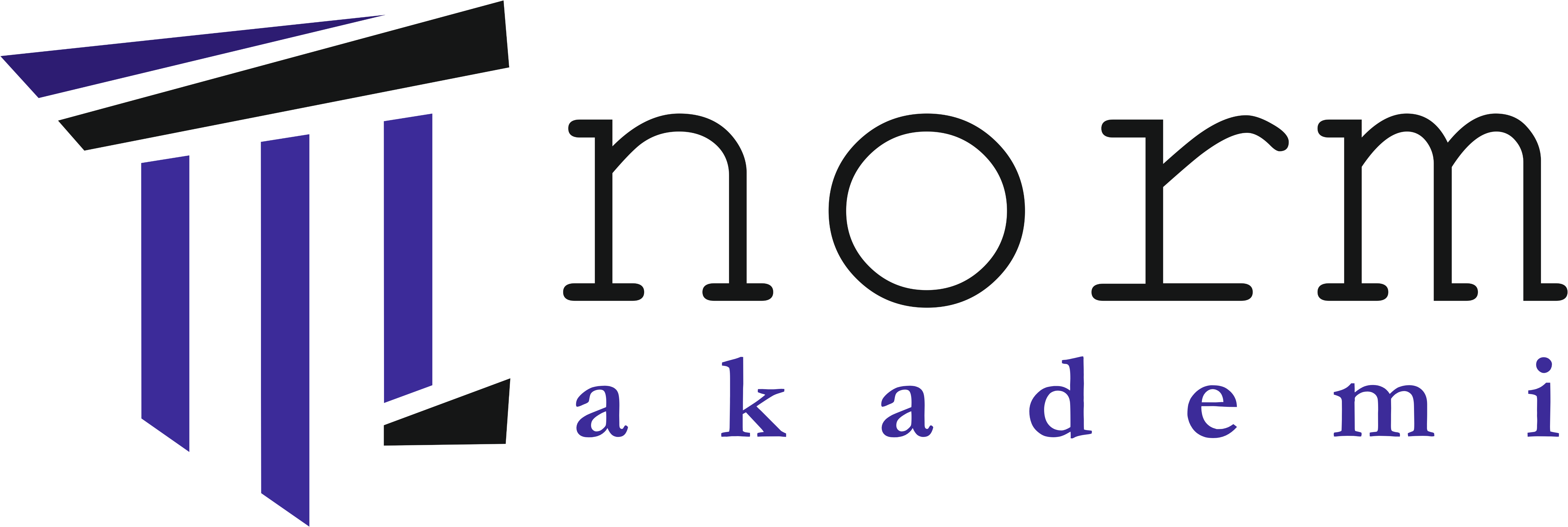Norm Akademi